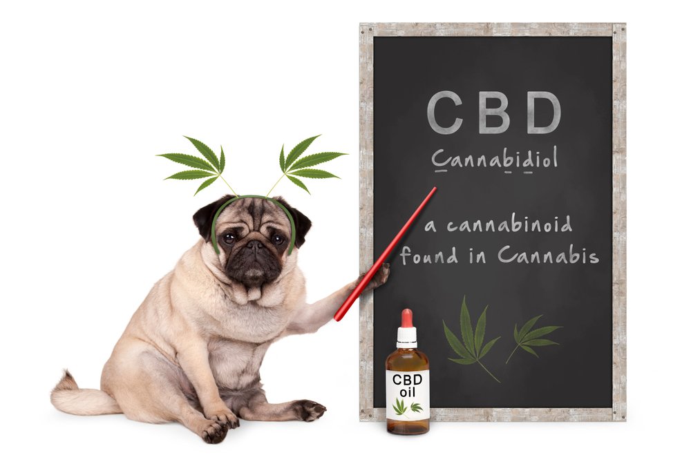 Qu’est ce que le CBD ?