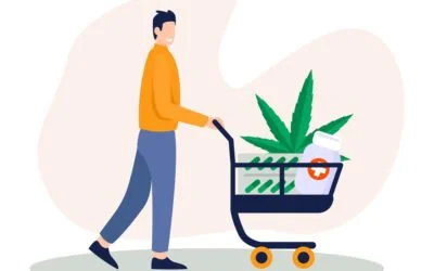 Comment choisir le bon produit CBD